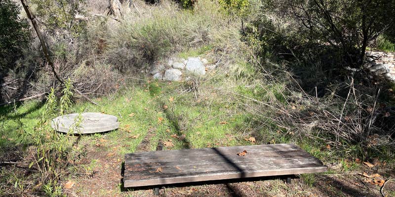 Camper submitted image from Oakwilde Trail Campground