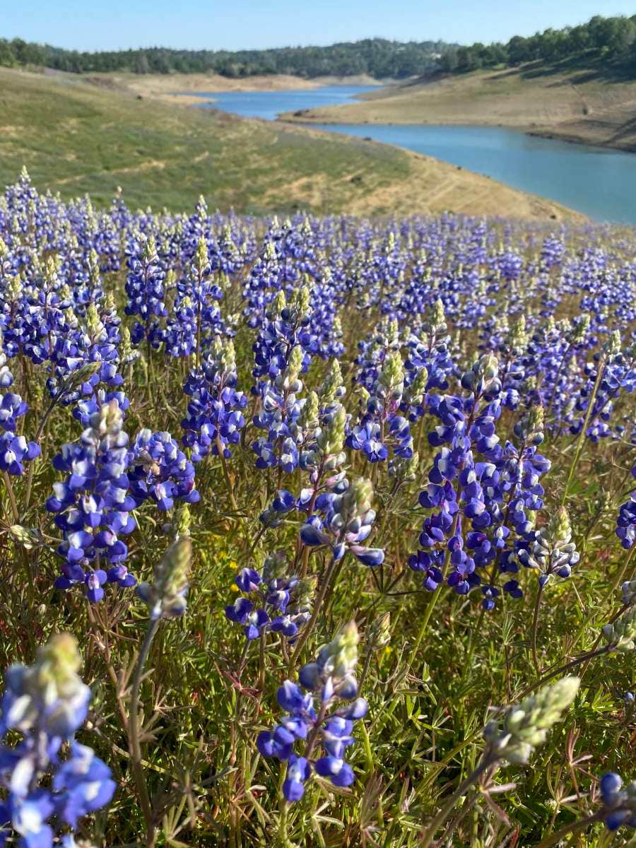 Camper submitted image from Ascension Ranch - 4