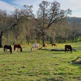 Review photo of Ascension Ranch by Fawad A., January 23, 2022