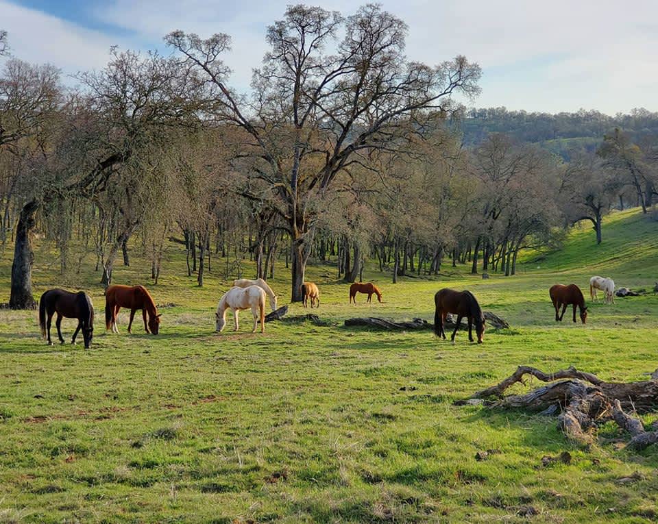 Camper submitted image from Ascension Ranch - 4