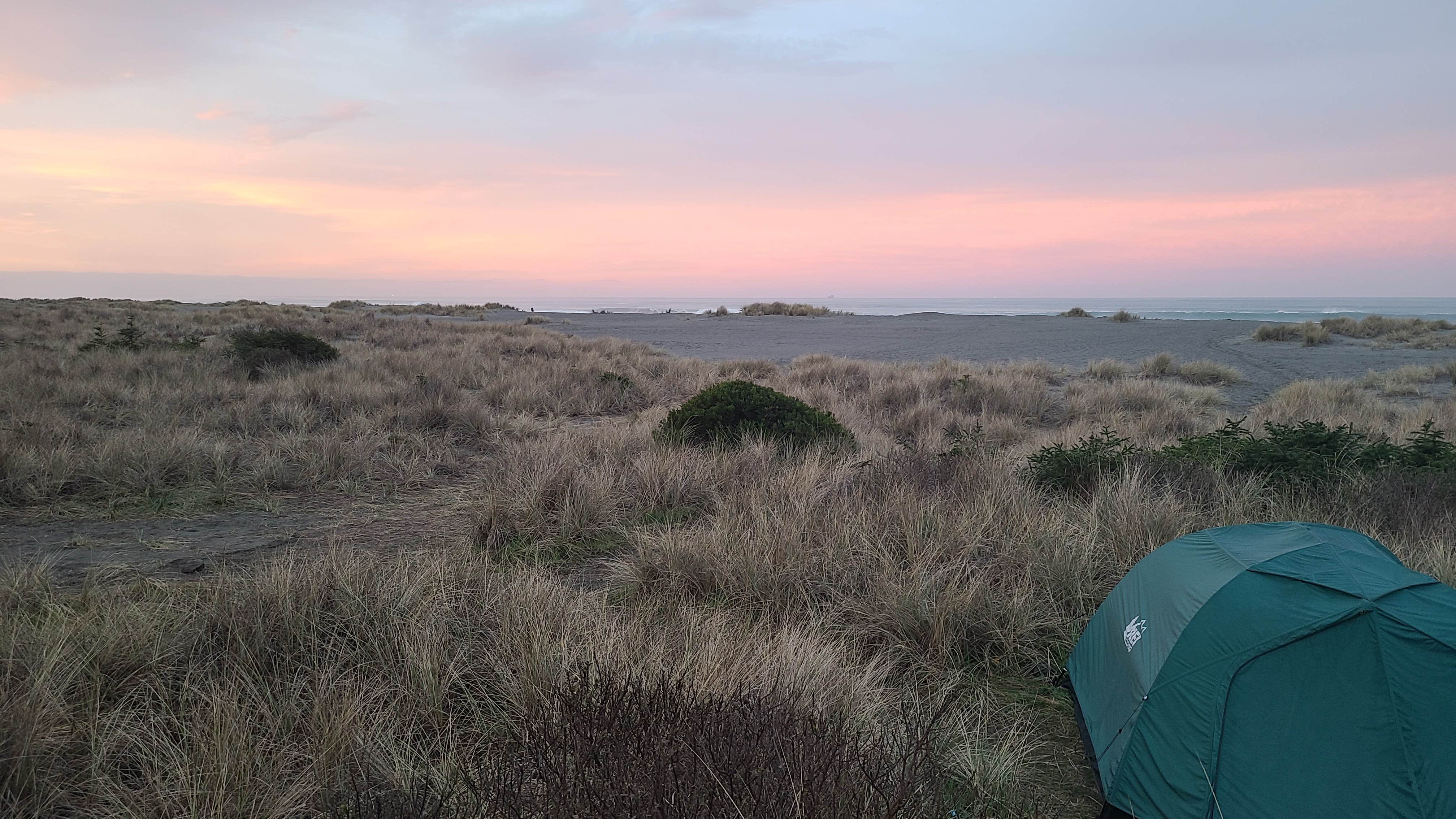 Melissa W.'s photo at Gold Bluffs Beach Campground — Prairie Creek Redwoods State Park near Orleans, CA