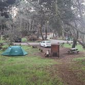 Review photo of MacKerricher State Park Campground by Melissa W., January 23, 2022