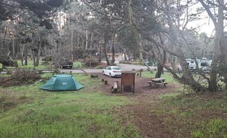 Melissa W.'s photo at Mackerricher State Park Campground near Soda Springs, CA