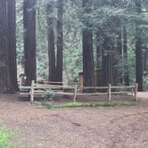 Review photo of Samuel P. Taylor State Park Campground by Melissa W., January 23, 2022