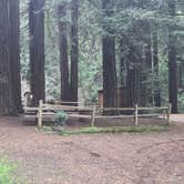 Review photo of Samuel P. Taylor State Park Campground by Melissa W., January 23, 2022