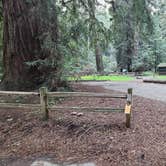 Review photo of Samuel P. Taylor State Park Campground by Melissa W., January 23, 2022