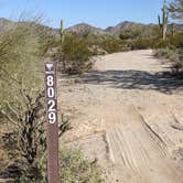 Review photo of BLM Sonoran Desert National Monument - BLM Rd #8029 dispersed camping by Greg L., January 23, 2022