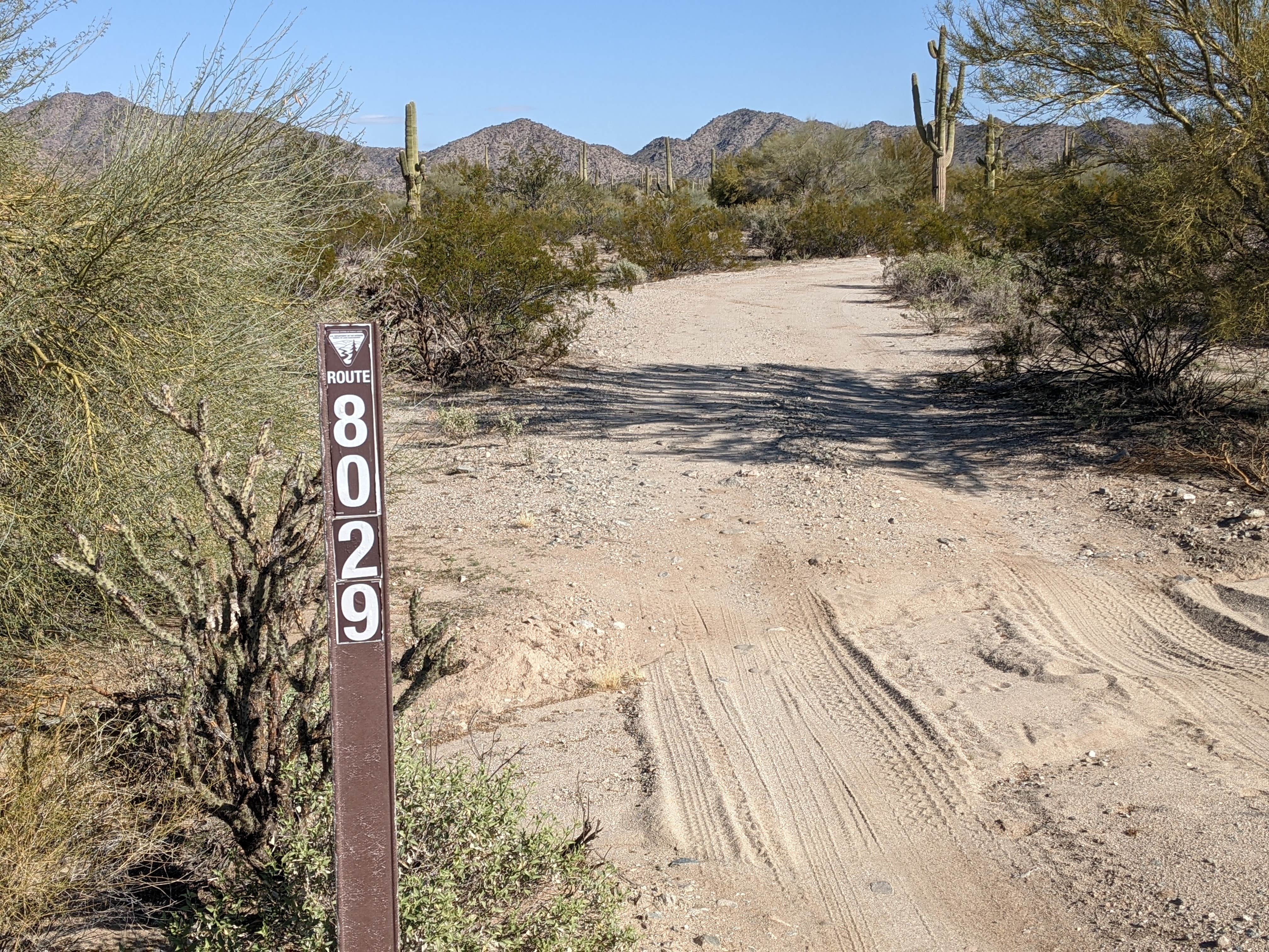 Camper submitted image from BLM Sonoran Desert National Monument - BLM Rd #8029 dispersed camping - 3