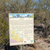 Review photo of BLM Sonoran Desert National Monument - BLM Rd #8029 dispersed camping by Greg L., January 23, 2022