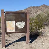 Review photo of BLM Sonoran Desert National Monument - BLM Rd #8029 dispersed camping by Greg L., January 23, 2022