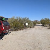 Review photo of BLM Sonoran Desert National Monument - BLM Rd #8029 dispersed camping by Greg L., January 23, 2022