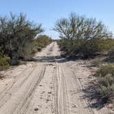 Review photo of BLM Sonoran Desert National Monument - BLM Rd #8029 dispersed camping by Greg L., January 23, 2022