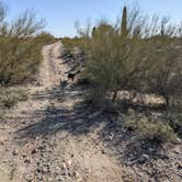 Review photo of BLM Sonoran Desert National Monument - BLM Rd #8029 dispersed camping by Greg L., January 23, 2022