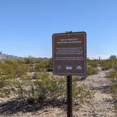 Review photo of BLM Sonoran Desert National Monument - BLM Rd #8029 dispersed camping by Greg L., January 23, 2022