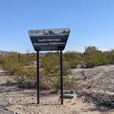 Review photo of BLM Sonoran Desert National Monument - BLM Rd #8029 dispersed camping by Greg L., January 23, 2022