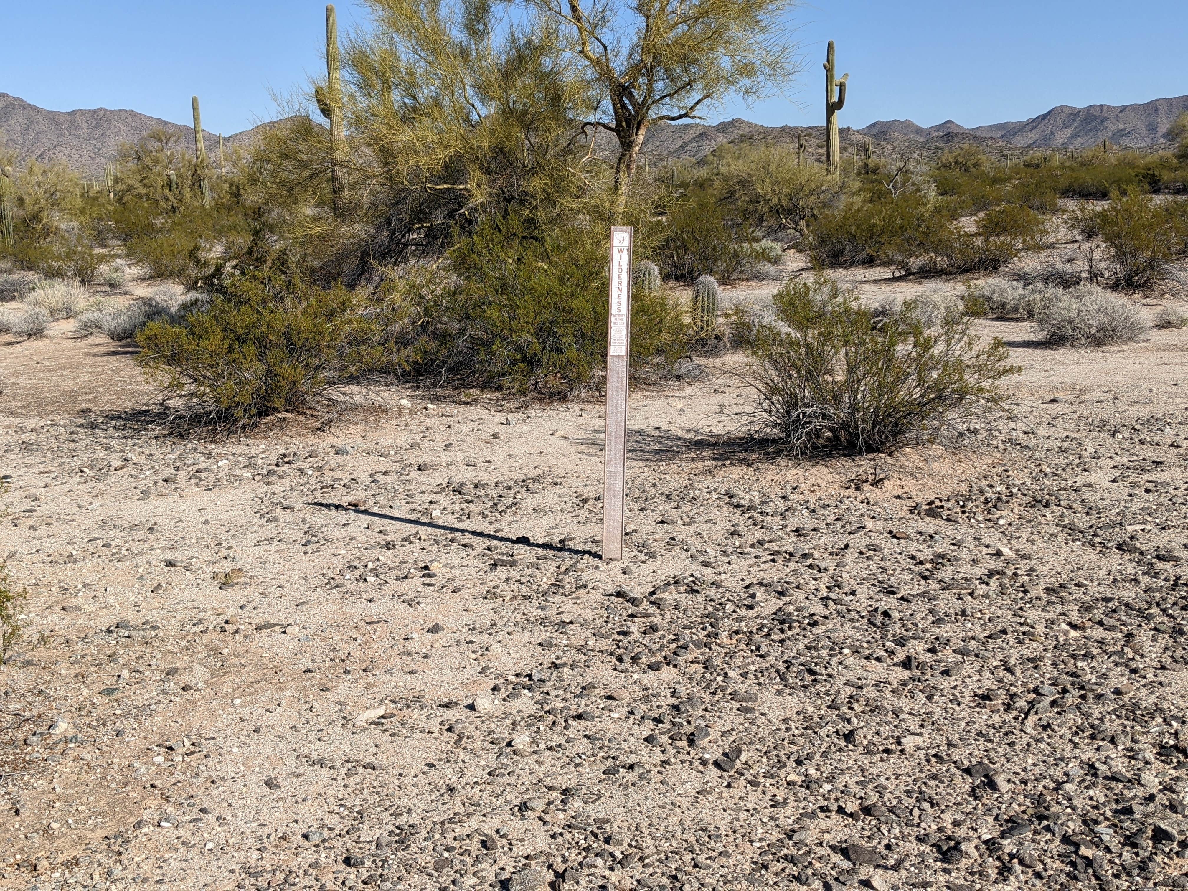 Camper-submitted photo at BLM Sonoran Desert National Monument - BLM Rd #8029 dispersed camping near Ajo, AZ
