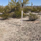 Review photo of BLM Sonoran Desert National Monument - BLM Rd #8029 dispersed camping by Greg L., January 23, 2022