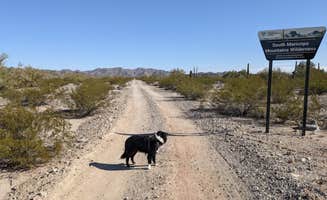 Greg L.'s photo of camping with pets at BLM Sonoran Desert National Monument - BLM Rd #8029 dispersed camping near Ajo, AZ