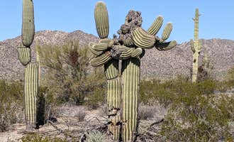 Camping near Patriot Place: BLM Sonoran Desert National Monument - BLM Rd #8029 dispersed camping, Gila Bend, Arizona