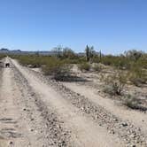 Review photo of BLM Sonoran Desert National Monument - BLM Rd #8029 dispersed camping by Greg L., January 23, 2022