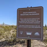 Review photo of BLM Sonoran Desert National Monument - BLM Rd #8029 dispersed camping by Greg L., January 23, 2022