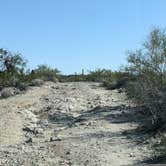 Review photo of BLM Sonoran Desert National Monument - BLM Rd #8029 dispersed camping by Greg L., January 23, 2022