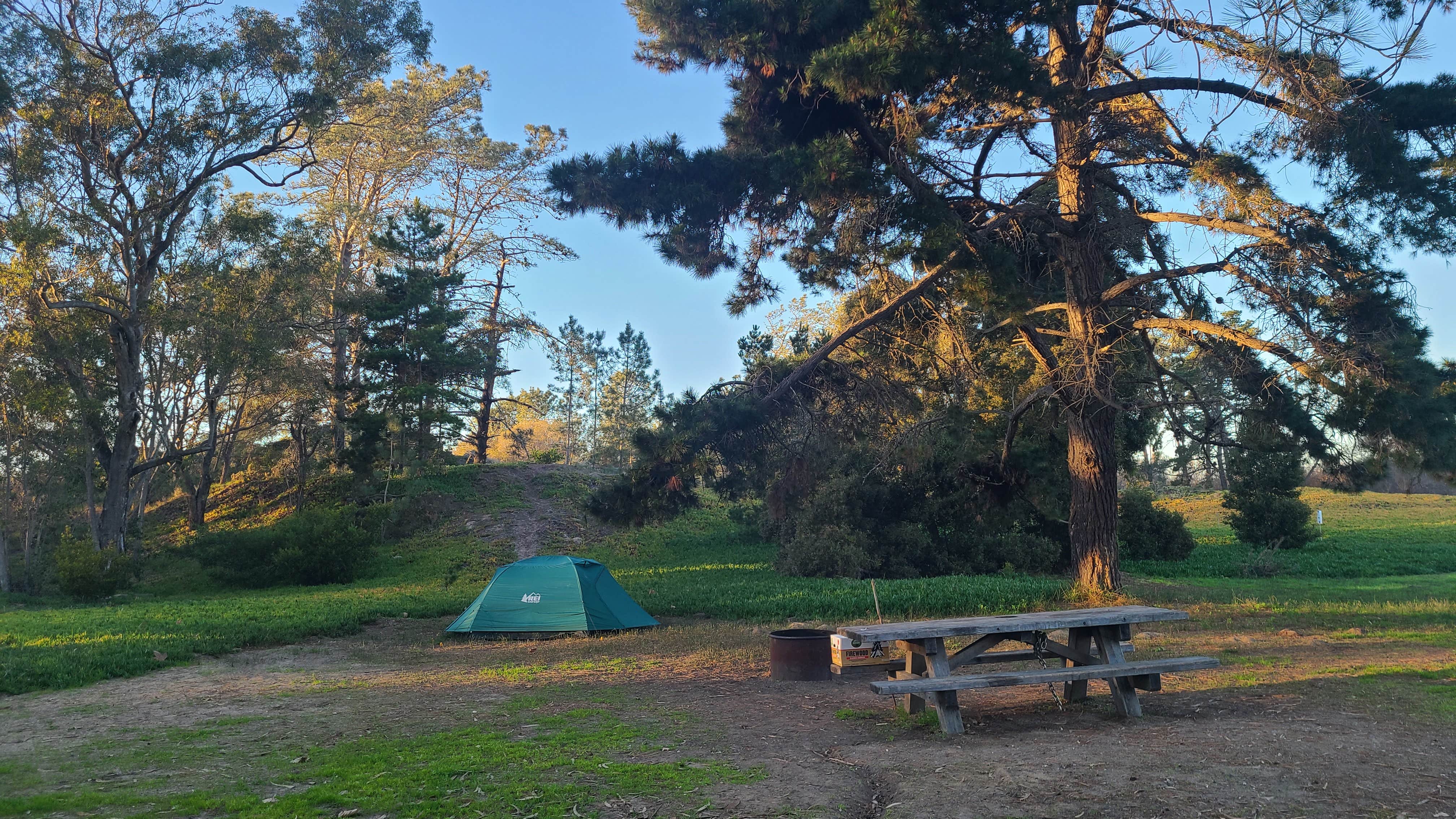 Melissa W.'s photo at Oceano Campground — Pismo State Beach near San Luis Obispo, CA