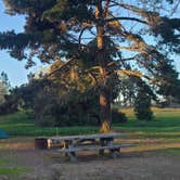 Review photo of Oceano County Campground by Melissa W., January 23, 2022