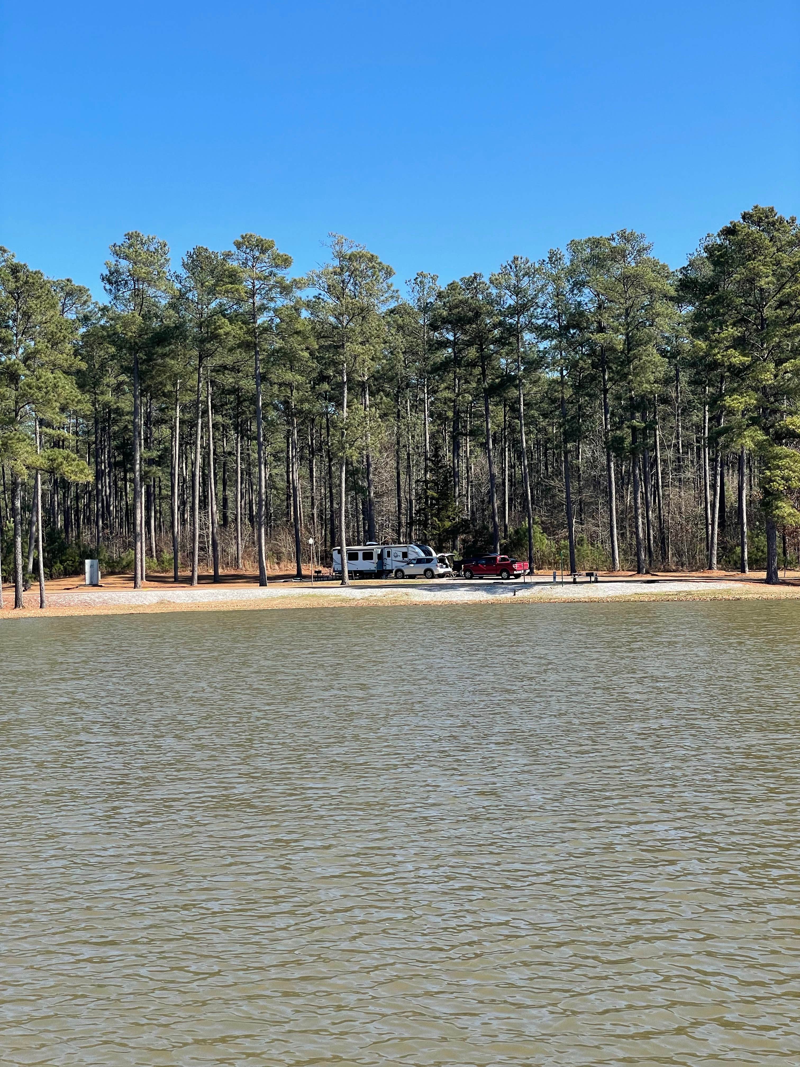 Camper-submitted photo at North Abutment near Sam Rayburn Reservoir
