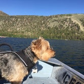 Review photo of Gull Lake Campground by Katarina A., July 9, 2018