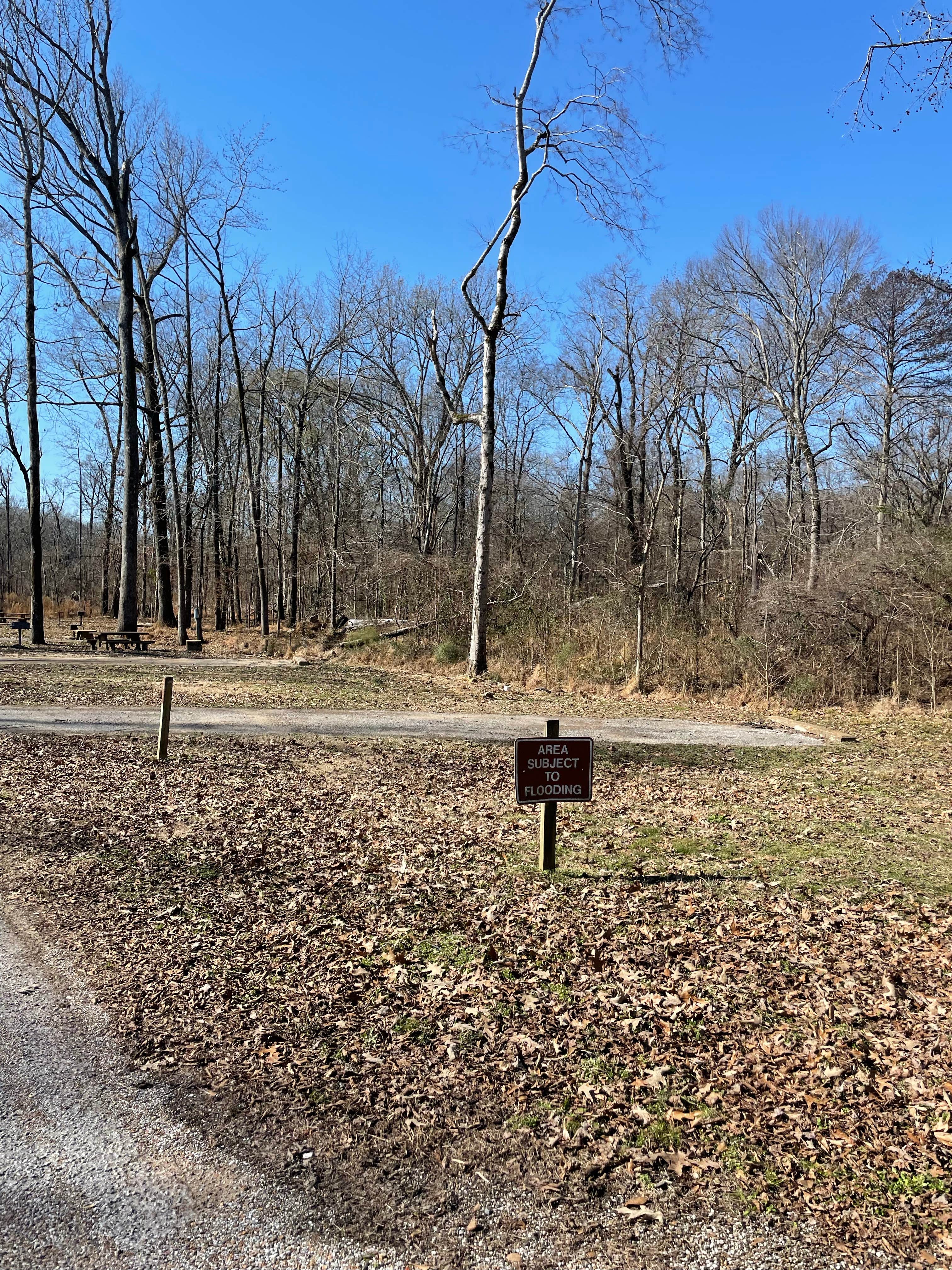 Camper submitted image from Hugh White State Park Campground - 3