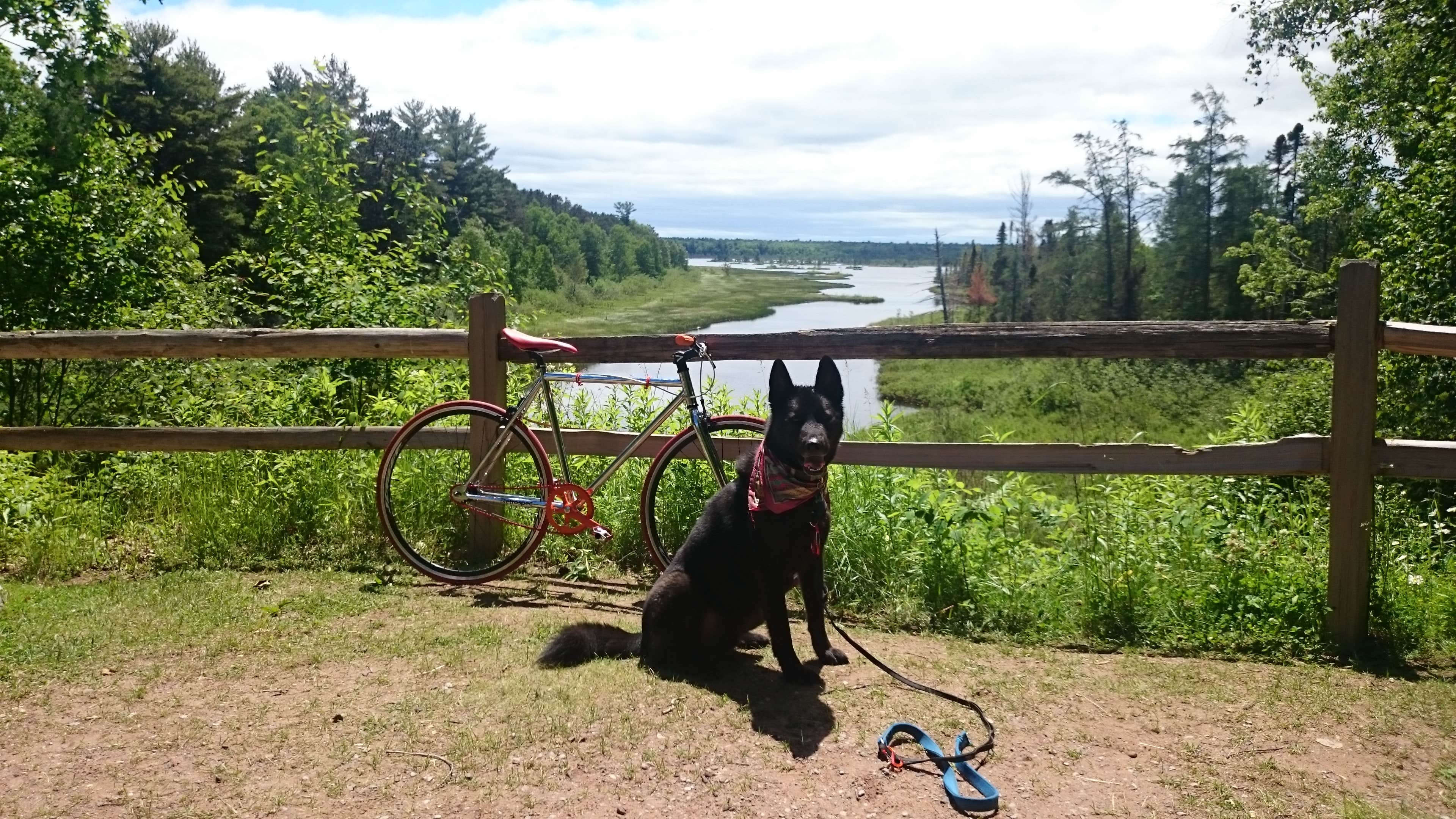 Camper submitted image from Big Bay Town Park - 1