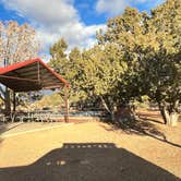 Review photo of Coral Pink Sand Dunes State Park Campground by CC C., January 24, 2022