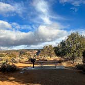 Review photo of Coral Pink Sand Dunes State Park Campground by CC C., January 24, 2022