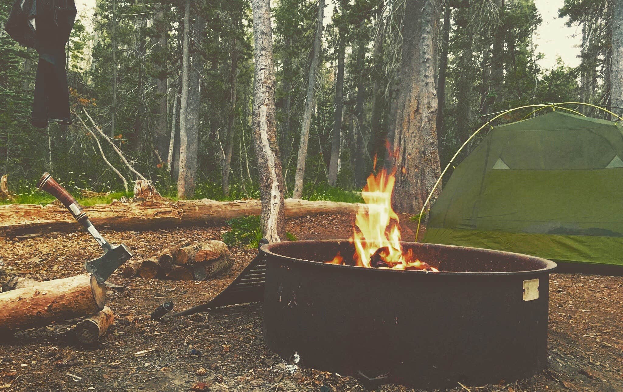 david G.'s photo at White Wolf Campground — Yosemite National Park near Eastman Lake