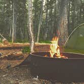 Review photo of White Wolf Campground — Yosemite National Park by david G., January 24, 2022