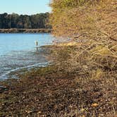 Review photo of Huntsville State Park Campground by Daniel L., January 24, 2022