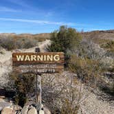 Review photo of Big Bend NP - Elephant Tusk Primitive Dispersed Campsite by Jerry P., January 21, 2022