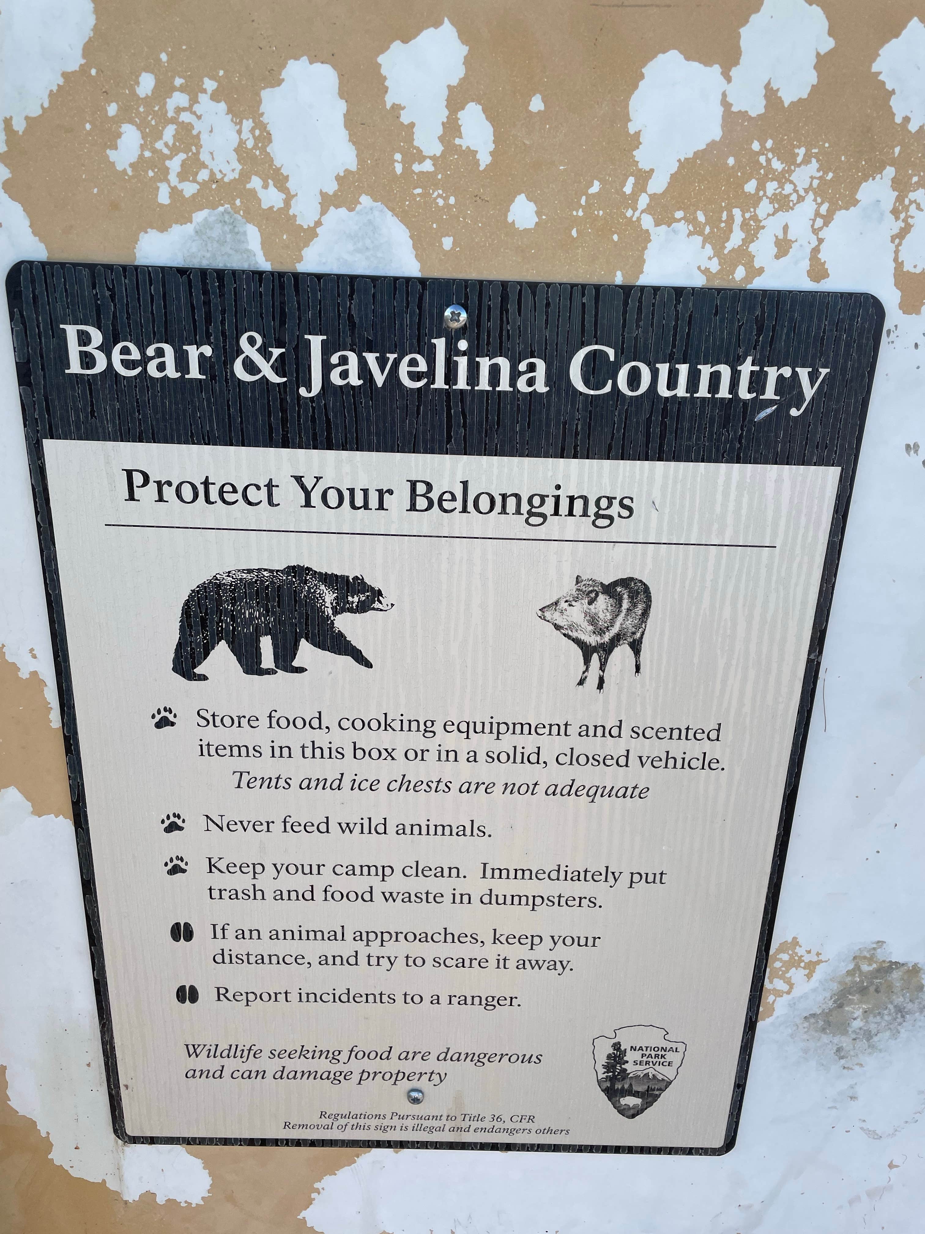 Camper-submitted photo at Robbers Roost Primitive Campsite — Big Bend National Park near Big Bend National Park