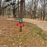 Review photo of Lake Poinsett State Park Campground by Shana D., January 24, 2022