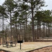 Review photo of Lake Poinsett State Park Campground by Shana D., January 24, 2022