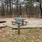 Review photo of Lake Poinsett State Park Campground by Shana D., January 24, 2022