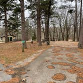 Review photo of Lake Poinsett State Park Campground by Shana D., January 24, 2022