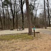 Review photo of Lake Poinsett State Park Campground by Shana D., January 24, 2022