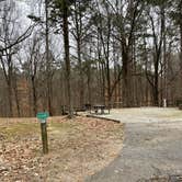 Review photo of Lake Poinsett State Park Campground by Shana D., January 24, 2022