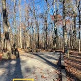 Review photo of West Rim - Cloudland Canyon State Park by Shana D., January 24, 2022