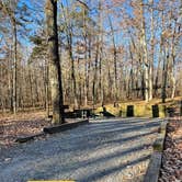 Review photo of West Rim - Cloudland Canyon State Park by Shana D., January 24, 2022