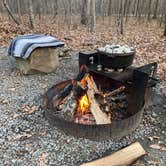 Review photo of West Rim - Cloudland Canyon State Park by Shana D., January 24, 2022