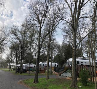 Camper-submitted photo from Austin East KOA