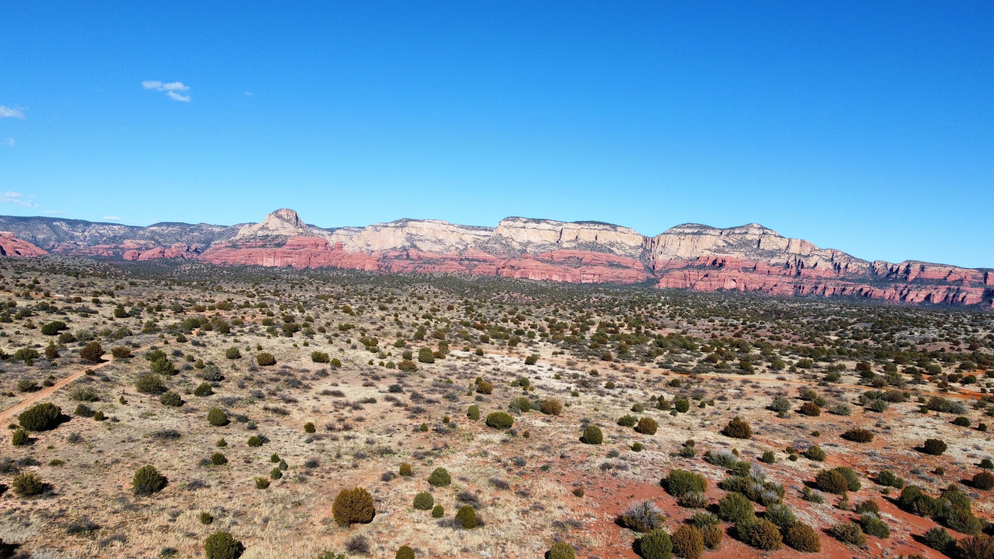 Camper submitted image from Forest Road 525C -Sycamore Pass Dispersed - TEMPORARILY CLOSED - 2